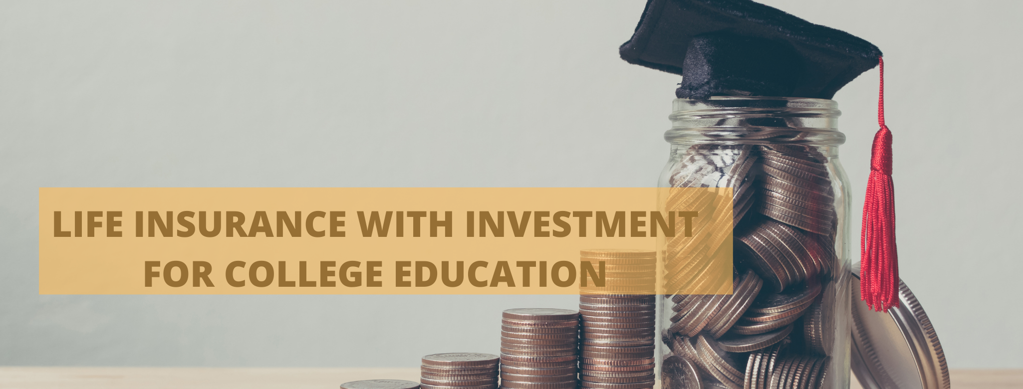 5 Year to Pay VUL College/Educational Plan in the Philippines